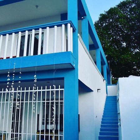 Posada Maria Isabel Celestun Bagian luar foto